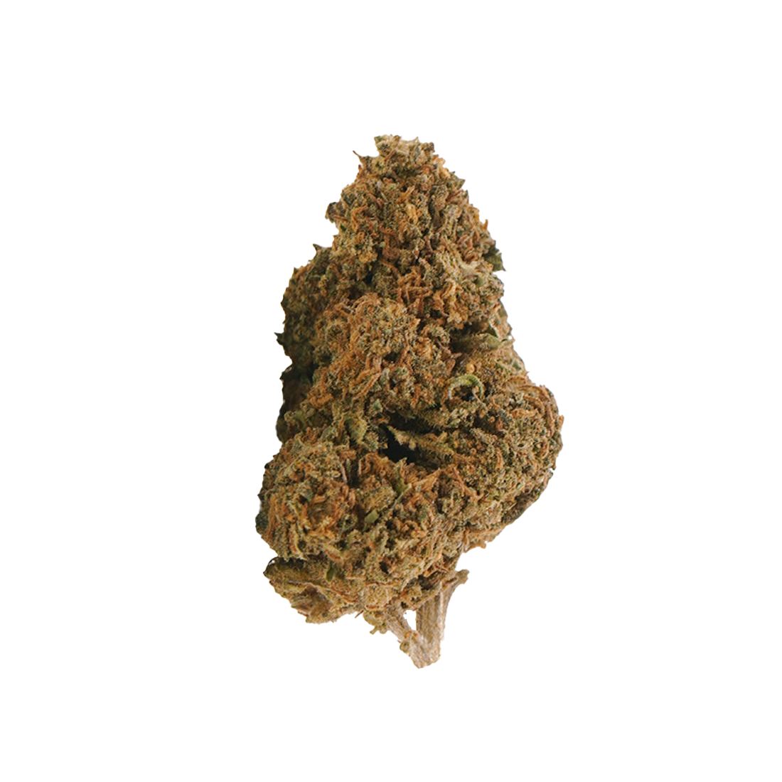 Jack Herer Onyx THCX 2.0