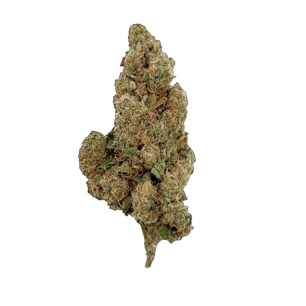 Amnesia Nova 10-OH-HHC