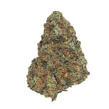 Cali Skywalker OG Néon TH-X