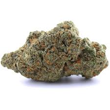 Amnesia Gold CBX