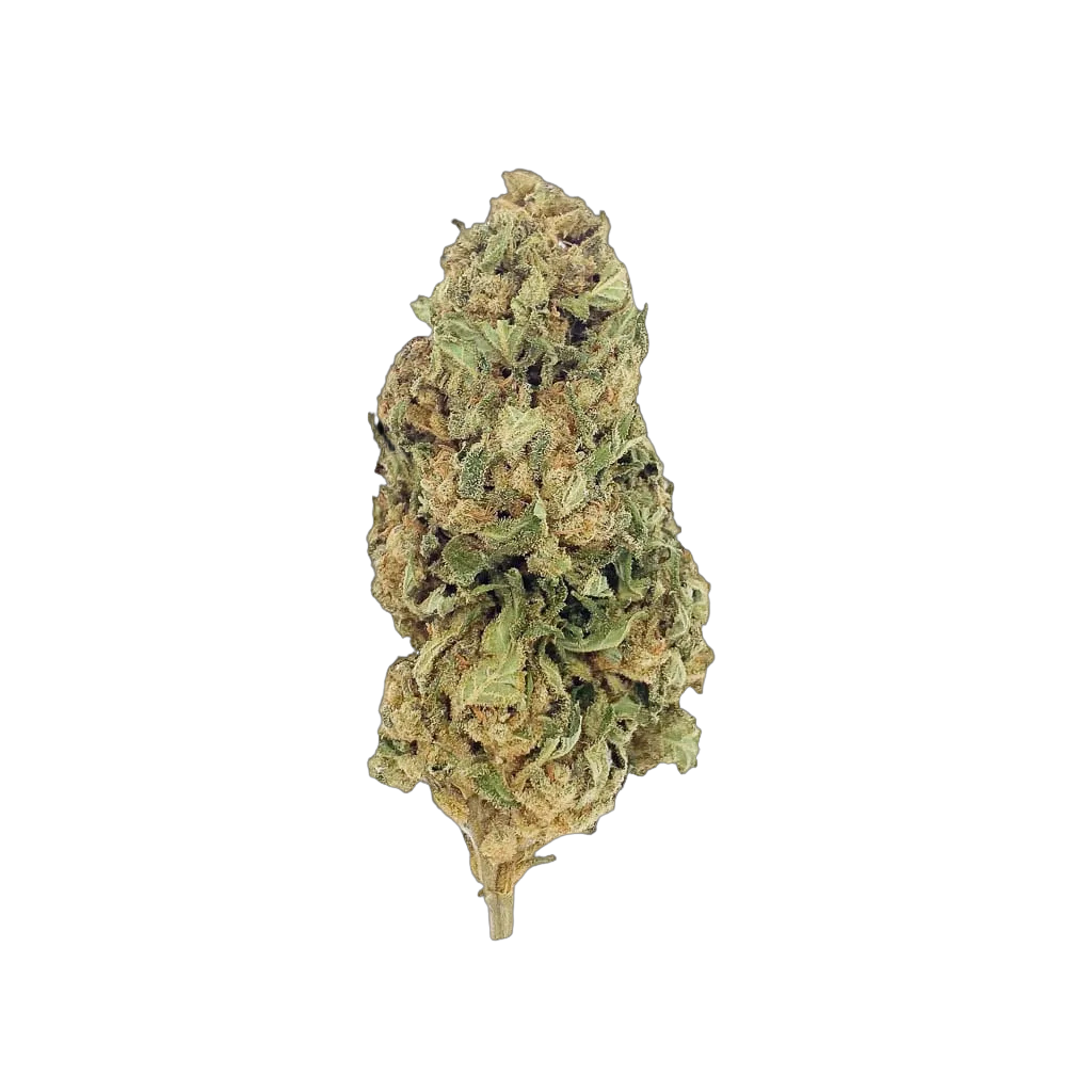 Lemon Nova 10-OH-HHC