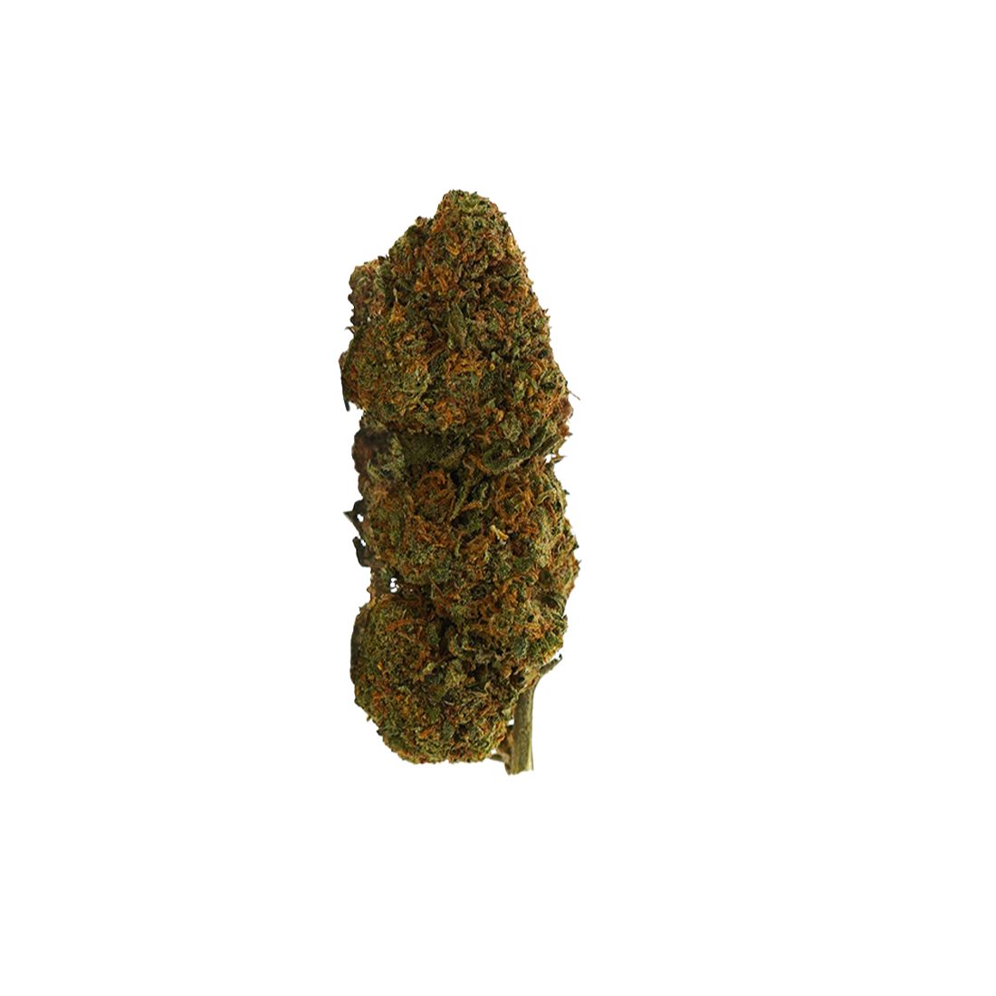 Prime Kush Néon TH-X