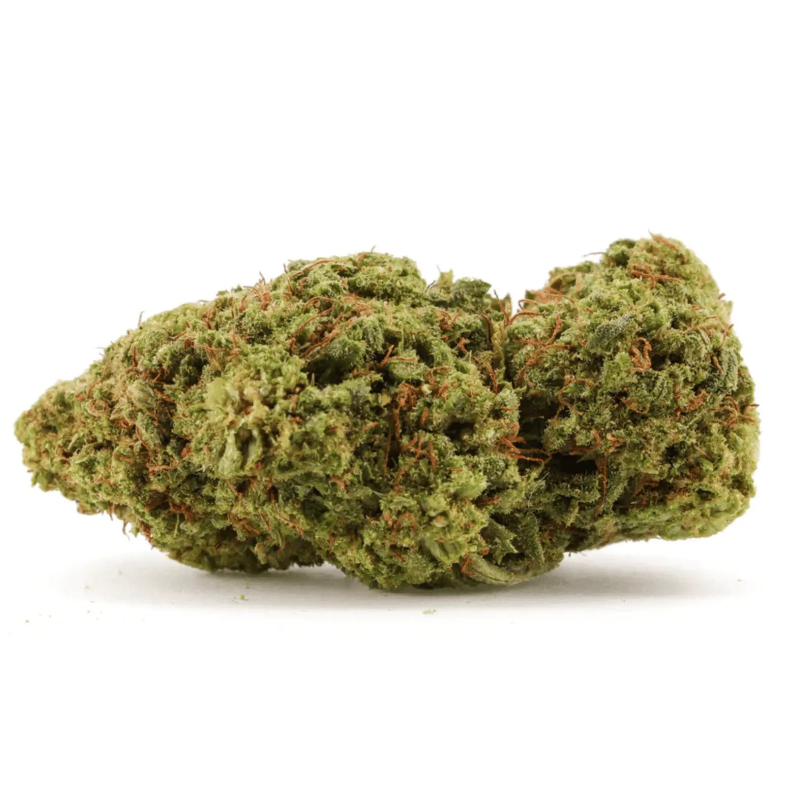 Orange Bud Gold CBX